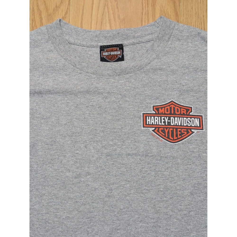 Harley Davidson Mens Crystal River Florida Manatee Graphic T-Shirt Medium Gray